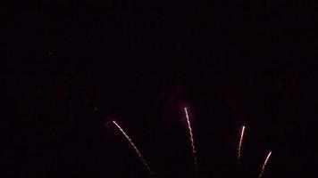fuochi d'artificio che esplodono di notte video