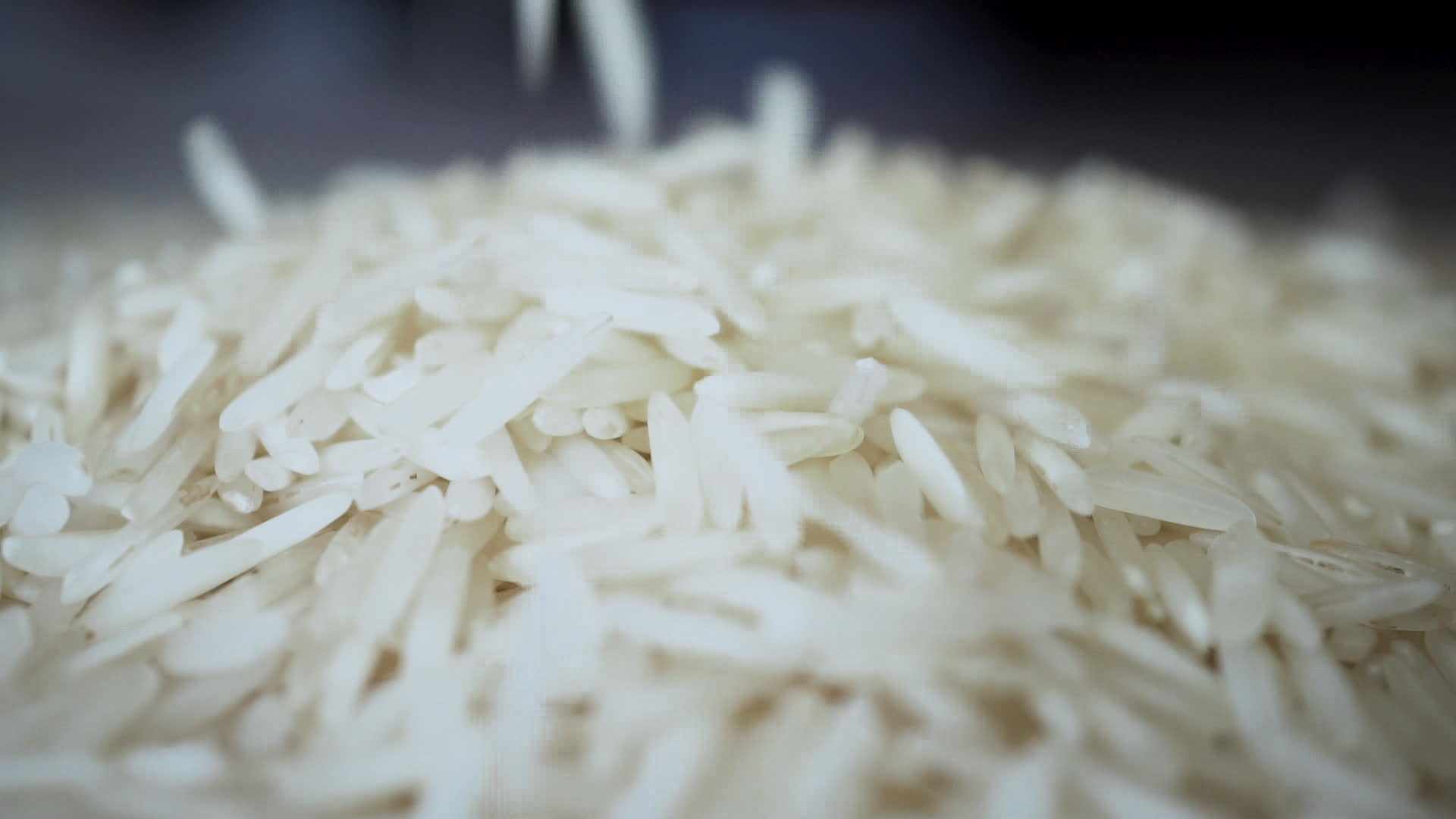 Basmati Rice Stock Video Footage for Free Download