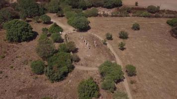drone kretsar kring menhirs i 4k video
