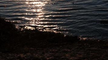 onde astratte sui tramonti. video