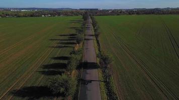 drone che vola sopra una strada con alberi in 4K video