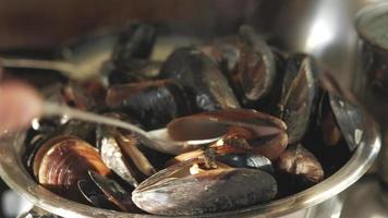 musslor som lagar mat närbild video