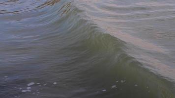 vague houle à la plage video