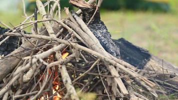 Fire Pit Burning Close Up video