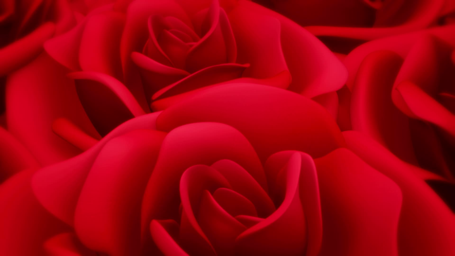 Rosas Vídeos y Metraje de Stock para Descargar Gratis Rosas Vídeos y Metraje de Stock para Descargar Gratis