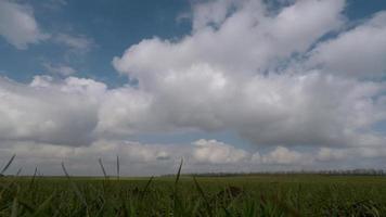 wolken bewegen over groen veld video