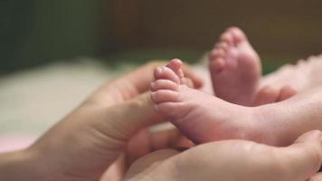 pequenas pernas de bebê na mão da mãe video