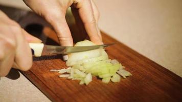 Close up Hands Chopping Onion video