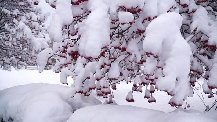 下雪影片