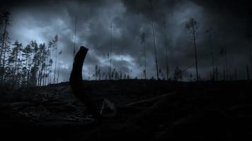 tempestade com relâmpagos à noite na floresta video