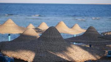 Egipto, playa con sombrillas en el mar rojo cerca del arrecife de coral video