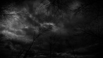 floresta escura e tempestade com raios video