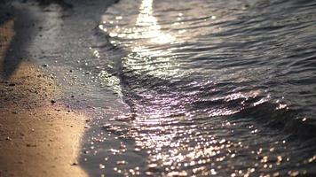 olas sobre arena y conchas