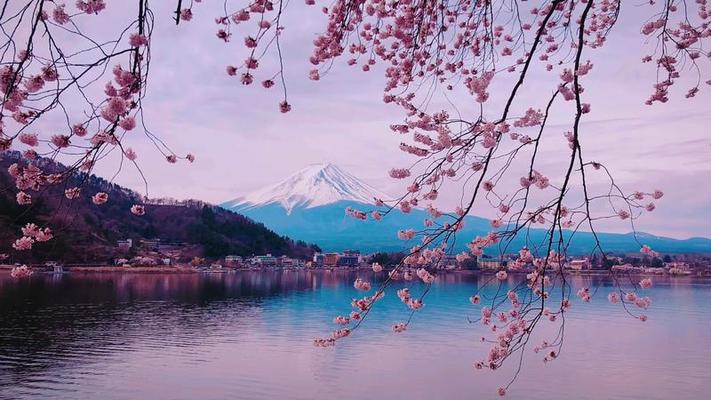 富士山影片