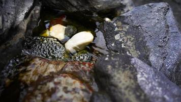 cascata e rocce pietre video