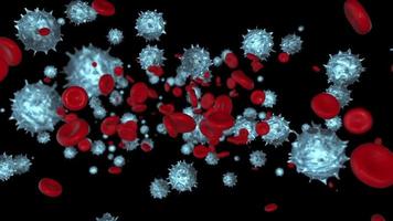 Flowing Red Blood Cells and Viruses video