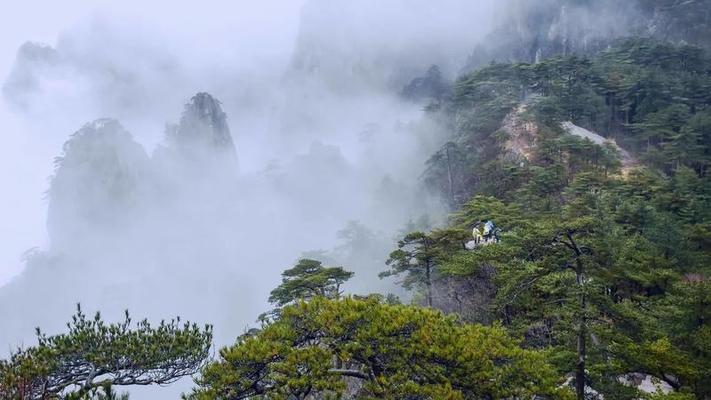 花崗岩影片