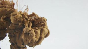 Color Of Soil Ink Drops in Water video