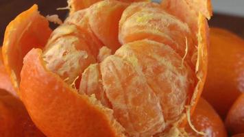 close-up op bos van mandarijnen video