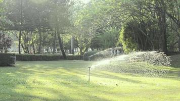 Sprinklers Watering the Grass video