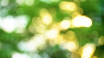 Abstract Yellow and Green Lights Bokeh  video