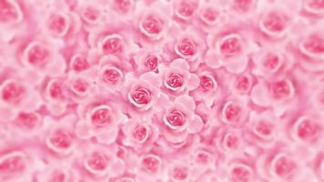 hermosas rosas rosadas brillantes girando video