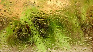 Raindrops trickling down on window glass against green plant video