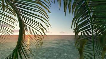 Animated Palm Tree Stock Video Footage for Free Download