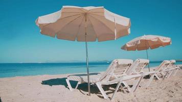 chaises de plage avec parasols sur une plage video