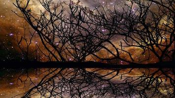 Panorama of nebula galaxy reflection on the lake video