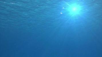 la vue sous la surface de l'océan bleu video