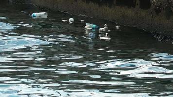 pollution de la mer de bootle en plastique video