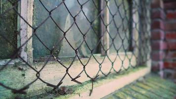 Chicken wire protects an old window shed video