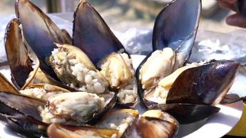 havet musslor fyllda med ris video