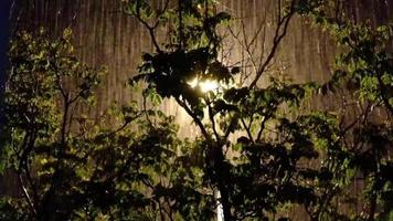 Rain falling during the night video