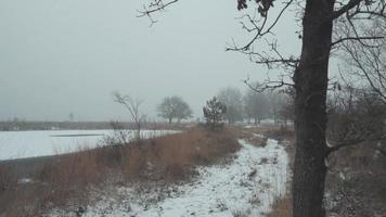 A winter enviroment creating the ultimate silence video