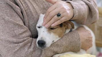 Femme plus âgée caressant sa tête de chien avec amour video