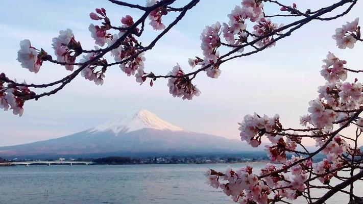 富士山影片