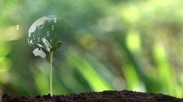 arbre d'argent dollar avec hologramme, idée d'entreprise financière de succès. video