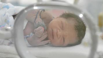 recién nacido a través del cristal de la incubadora. video