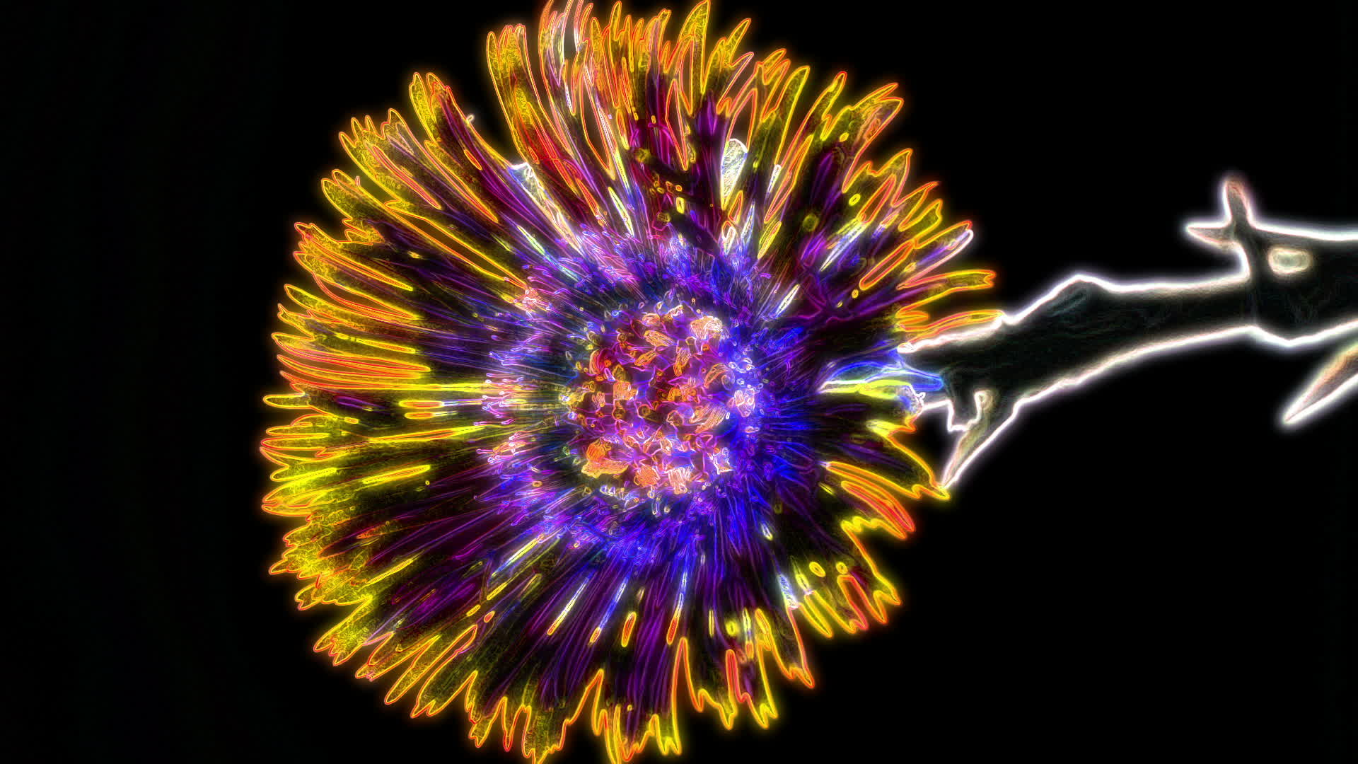 Glowing Flowers Loop 1627566 Stock Video at Vecteezy