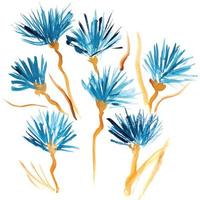 pintado a mano azul acuarela flores aisladas vector