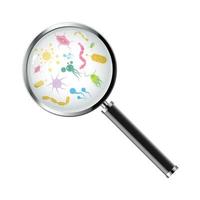 Microorganisms under a magnifying glass vector