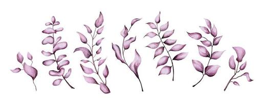 Pink watercolor leaves vector