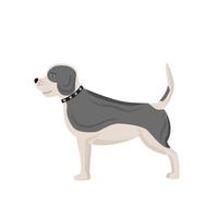 White and grey dog vector