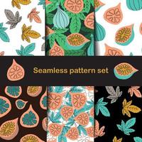 Fig and leaf pattern set in hand drawn style vector