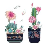 Succulents and flowers in pots hand drawn watercolor vector