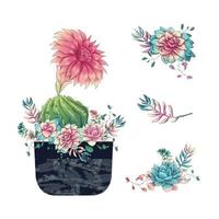 Succulents and flowers in pot hand drawn watercolor vector