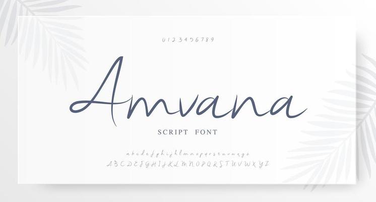Elegant script alphabet and numbers font