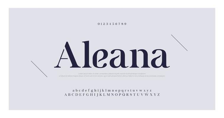 Elegant serif number and letter font